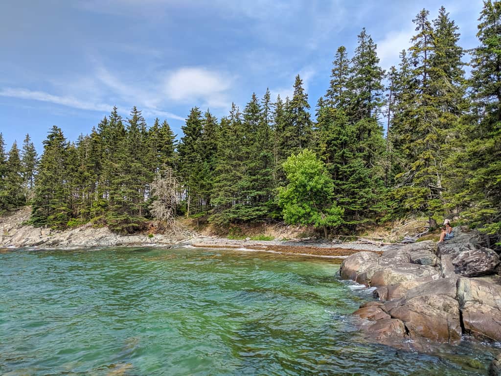 rocky shore lined with evergreen trees